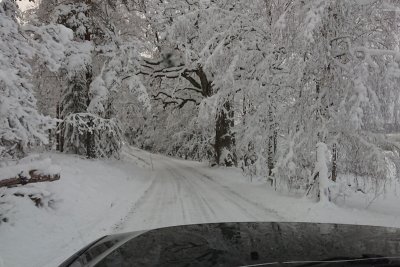 DSC_2673.JPG