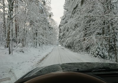 DSC_2676.JPG