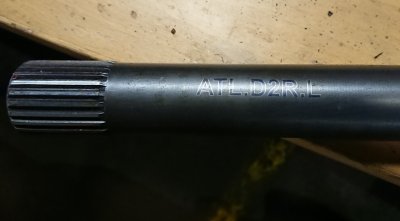 DSC_3544.JPG
