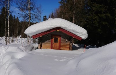DSC_3697.JPG