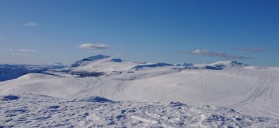 DSC_3810.JPG