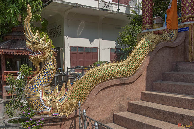 Wat Mo Kham Tuang Phra Ubosot Makara and Naga (DTHCM1990)