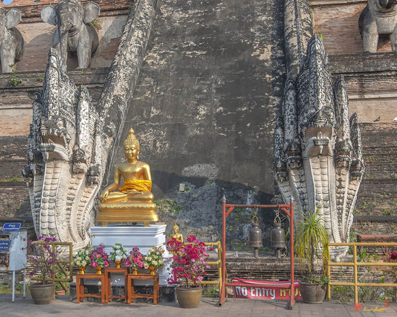 Wat Chedi Luang Phra Chedi Luang Five-headed Naga Guardians (DTHCM2536)