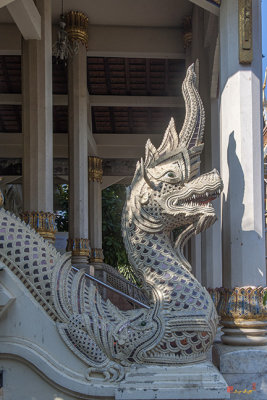 Wat Chomphu Phra Wihan Makara and Naga (DTHCM1214)