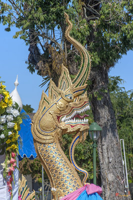 Wat Piyaram Phra Wihan Naga (DTHCM1230)