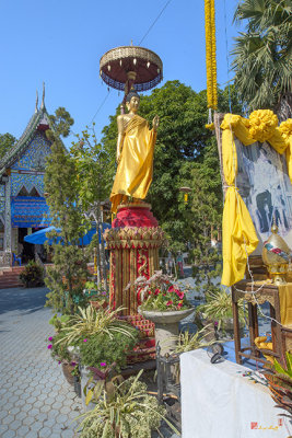 Wat Sopanaram Phra Wihan Standing Buddha (DTHCM1241)