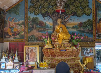 Wat Sopanaram Phra Wihan Interior (DTHCM1245)