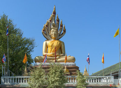 Wat Sopanaram Buddha Image on Naga Throne (DTHCM1251)