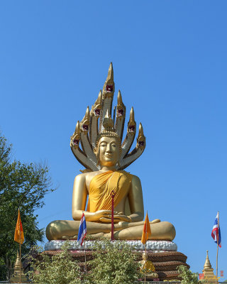 Wat Sopanaram Buddha Image on Naga Throne (DTHCM1252)