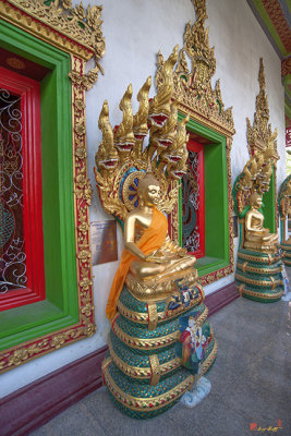 Wat Nak Prok Phra Wihan Windows and Buddha Images (DTHB1874)