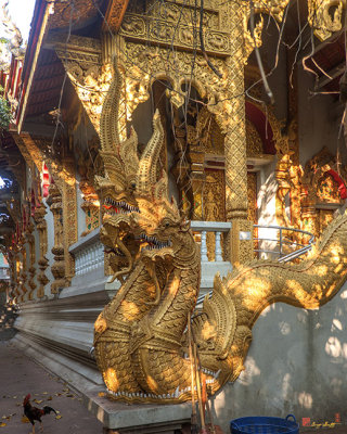 Wat Sikong Phra Wihan Makara and Naga (DTHCM1309)