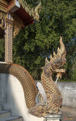 Wat Kha Chao Phra Ubosot Makara and Naga (DTHCM1373)