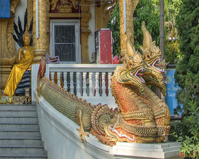 Wat Tha Kradat Phra Wihan Makara and Naga (DTHCM1380)