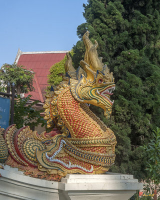 Wat Tha Kradat Phra Wihan Makara and Naga (DTHCM1381)