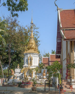 Wat San Sai Ton Kok Phra Chedi (DTHCM1392)
