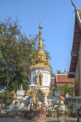 Wat San Sai Ton Kok Phra Chedi (DTHCM1393)