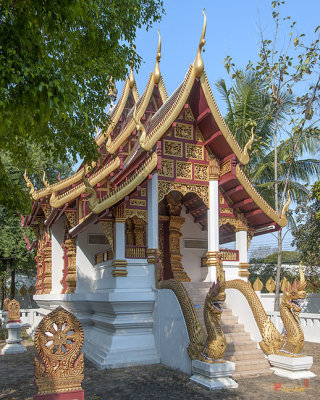 Wat San Sai Ton Kok Phra Ubosot (DTHCM1400)