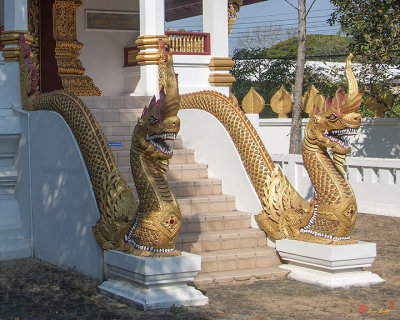 Wat San Sai Ton Kok Phra Ubosot Makara and Naga (DTHCM1401)