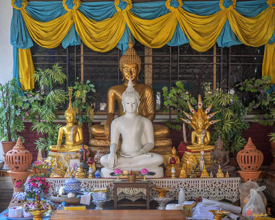 Wat San Sai Ton Kok Buddha Shrine (DTHCM1404)