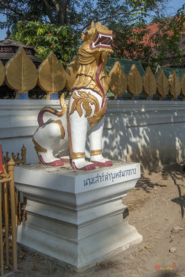Wat San Sai Ton Kok Singha Guardian (DTHCM1405)