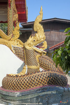Wat Rong Oa Phra Wihan Makara and Naga (DTHCM1447)