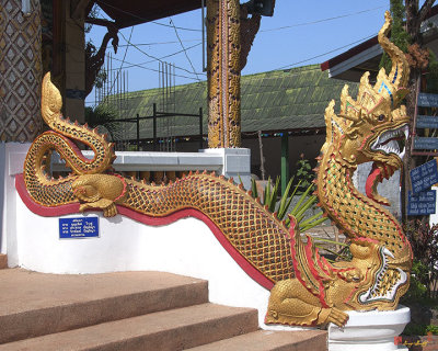Wat Pa Koi Tai Phra Wihan Makara and Naga (DTHCM1464)