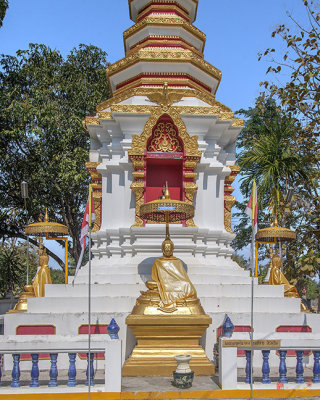 Wat Pa Khoi Nuea Phra That Chedi Buddha Images (DTHCM1494)