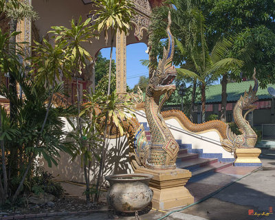 Wat Chedi Sathan Phra Wihan Makara and Naga (DTHCM1635)