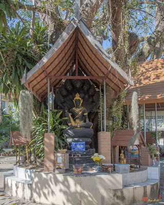 Wat Chedi Sathan Shrine Under Bodhi Tree (DTHCM1653)