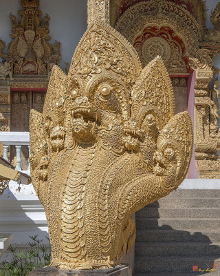 Wat Kumpa Pradit Phra Wihan Five-headed Naga (DTHCM1664)