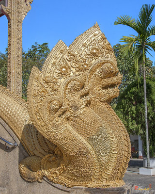 Wat Kumpa Pradit Phra Wihan Makara and Five-headed Naga (DTHCM1666)