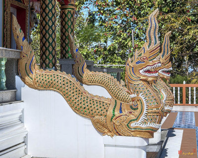 Wat Phratat Chom Taeng Phra Ubosot Makara and Naga (DTHCM1695)