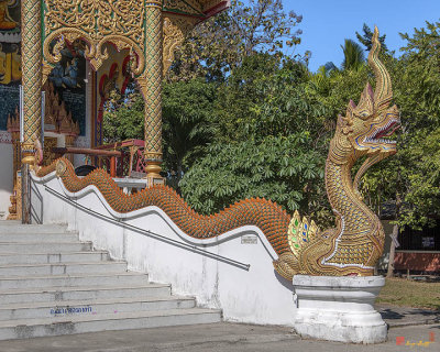 Wat Si Chomphu Phra Wihan Makara and Naga (DTHCM1709)