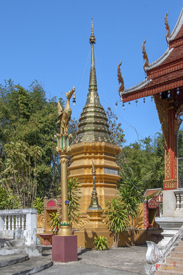 Wat Sara Chatthan Phra That Chedi (DTHCM1718)
