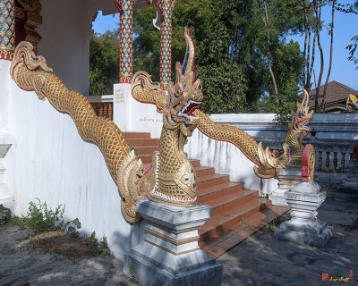 Wat Wichit Wari Phra Ubosot Makara and Naga (DTHCM1772)