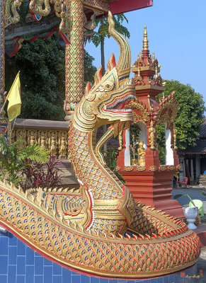 Wat Chedi Mae Krua Makara and Naga of Wihan to Honor His Majesty (DTHCM1862)