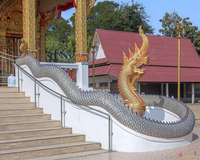Wat Si Ngam Phra Wihan Makara and Naga (DTHCM1907)