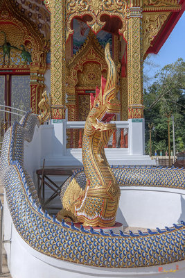 Wat Si Ngam Phra Wihan Makara and Naga (DTHCM1908)