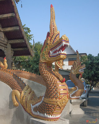 Wat Sum Pow Phra Wihan Makara and Naga (DTHCM0218)
