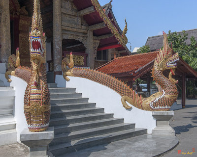 Wat Sum Pow Phra Wihan Makara and Naga (DTHCM1977)