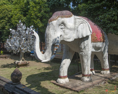 Wat Lok Molee Silver Bodhi Tree and Guardian Elephant (DTHCM2011)