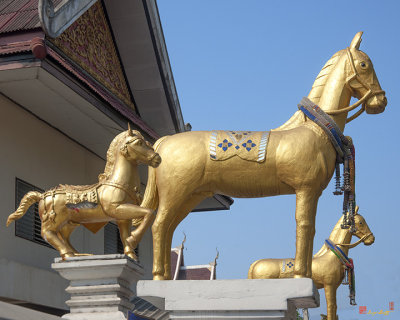 Wat Kuan Kama Horse Guardians (DTHCM0512)