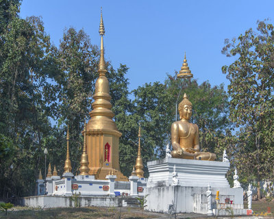 Wat Siritham Mongkon Buddha Image and Phra That Chedi (DTHCM2077)