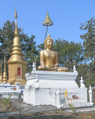 Wat Siritham Mongkon Buddha Image (DTHCM2079)