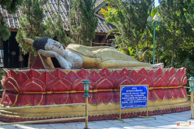 Wat Nong Bua Worawet Wisit Reclining Buddha (DTHCM2096)