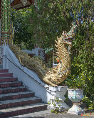 Wat Pak Thang Phra Wihan Makara and Naga (DTHCM2145)