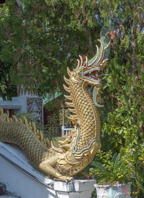 Wat Pak Thang Phra Wihan Makara and Naga (DTHCM2146)