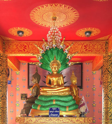 Wat Pak Thang Phra That Chedi Buddha Image on Naga Throne (DTHCM2156)