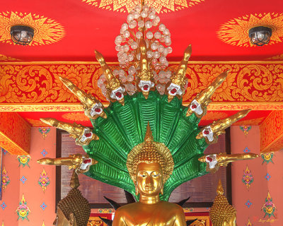 Wat Pak Thang Phra That Chedi Buddha Image on Naga Throne (DTHCM2157)