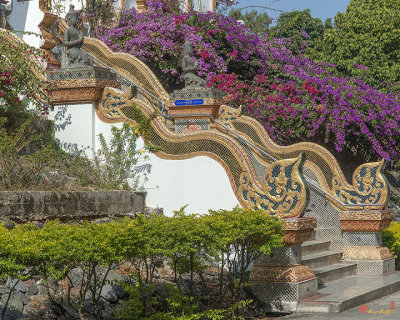 Wat Phra That Doi Saket Stairway to Phra That Chedi (DTHCM2162)
